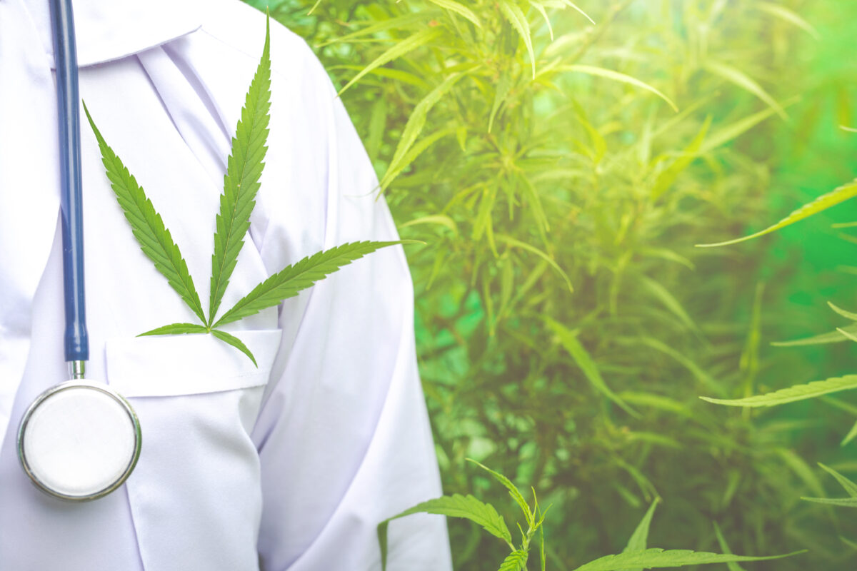 CBD: entendiendo el cannabidiol